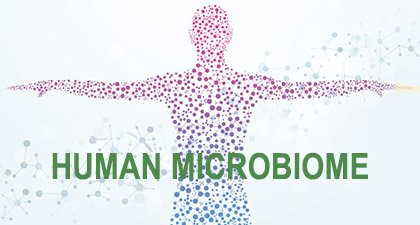 Микробиота — главный орган иммунитета